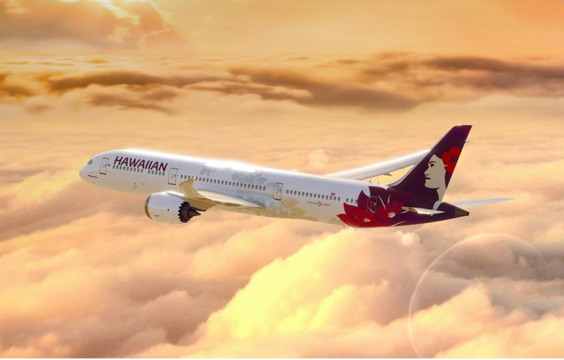 【新品】Hawaiian ハワイアン B787-9 flapdown 1/400 NG Models 1:400 Hawaiian Air Boeing 787-9 Dreamliner N781HA